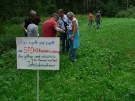 Am Waldsee beim Jakobskreuzkraut rupfen