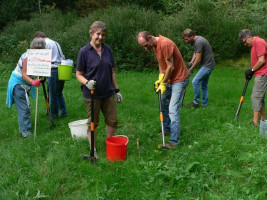 Am Waldsee beim Jakobskreuzkraut rupfen