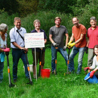 Am Waldsee beim Jakobskreuzkraut rupfen